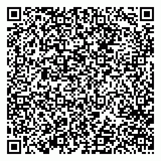 vCard 79613387019