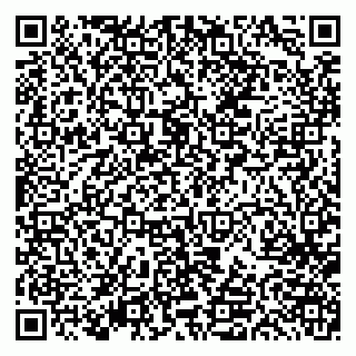 vCard 79613387020