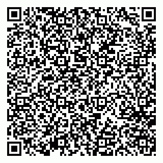 vCard 79613387022