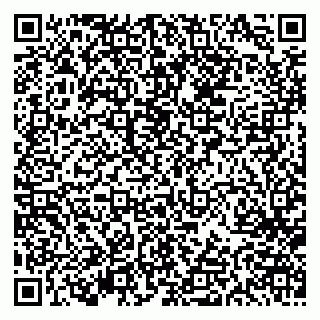 vCard 79613387023
