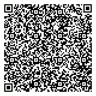 vCard 79613387025