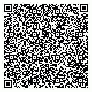 vCard 79613387026