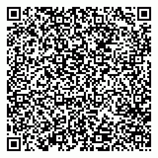 vCard 79613387028