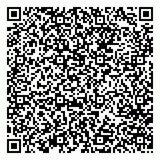 vCard 79613387029