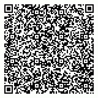 vCard 79613387030