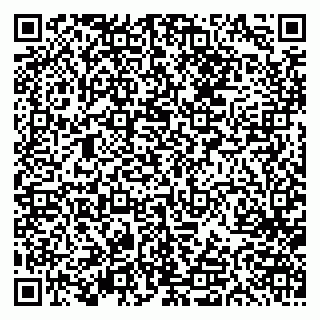 vCard 79613387032