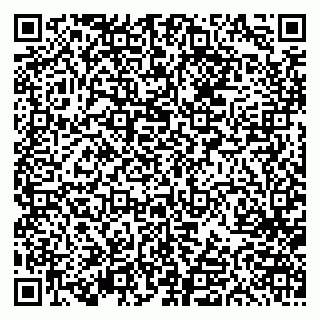vCard 79613387034