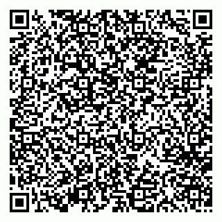 vCard 79613387036