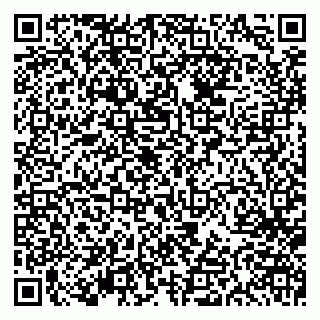 vCard 79613387037