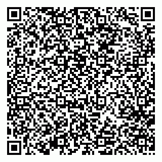 vCard 79613387040