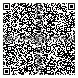 vCard 79613387041