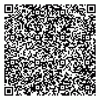 vCard 79613387046