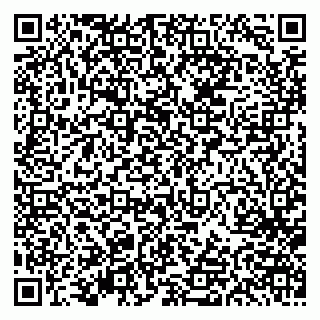 vCard 79613387051