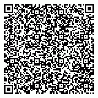vCard 79613387055