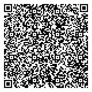 vCard 79613387056