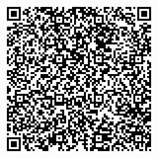 vCard 79613387058