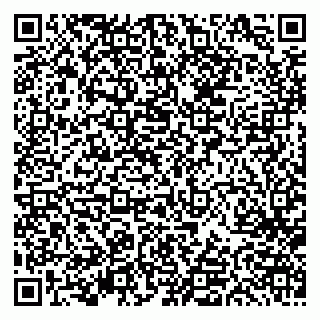 vCard 79613387060