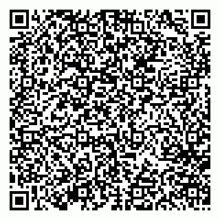 vCard 79613387063
