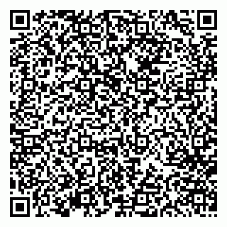 vCard 79613387067