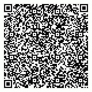 vCard 79613387068