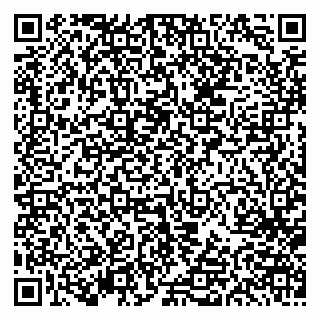 vCard 79613387071
