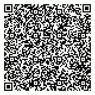 vCard 79613387073