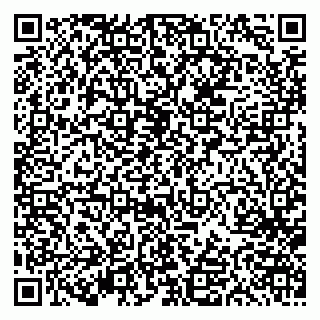 vCard 79613387074