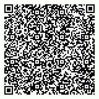 vCard 79613387077