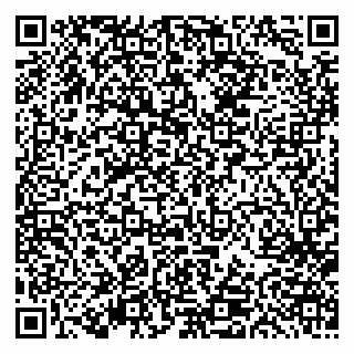 vCard 79613387078