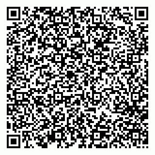 vCard 79613387079