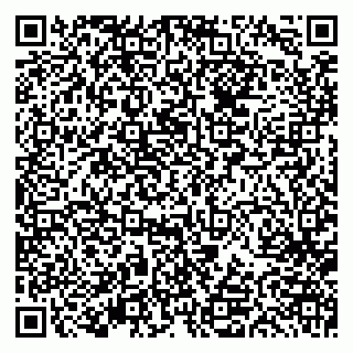 vCard 79613387080