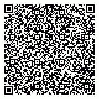 vCard 79613387081