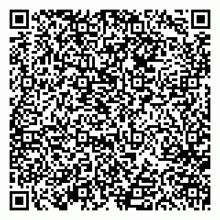vCard 79613387084
