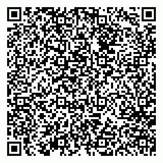vCard 79613387085