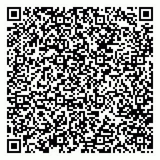 vCard 79613387086