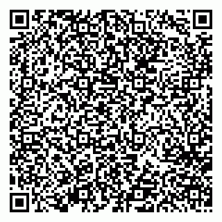 vCard 79613387089