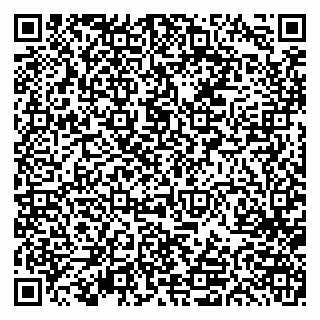 vCard 79613387090