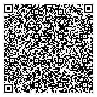 vCard 79613387093