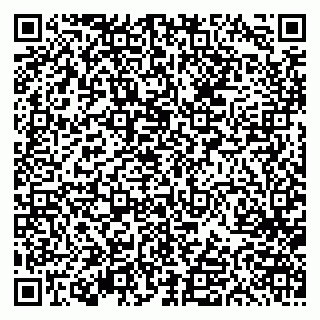 vCard 79613387094