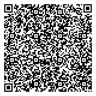 vCard 79613387095
