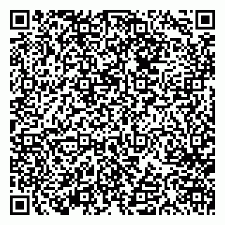 vCard 79613387096