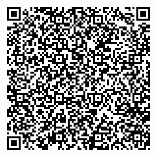 vCard 79613387097