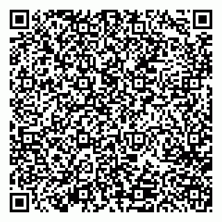 vCard 79613387098