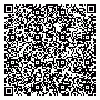 vCard 79613387099