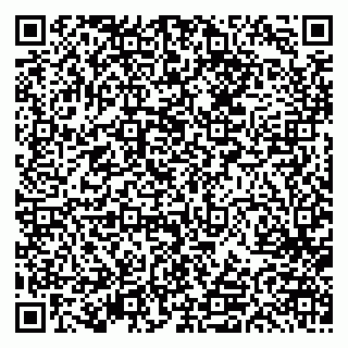 vCard 79613387100