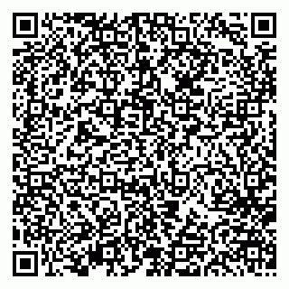 vCard 79613387101