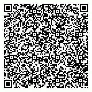 vCard 79613387102
