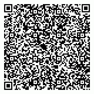vCard 79613387103
