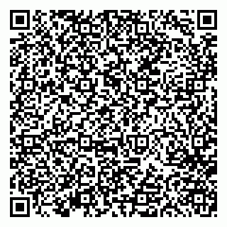 vCard 79613387104
