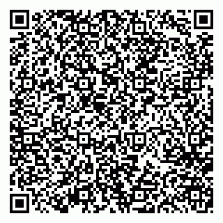 vCard 79613387105